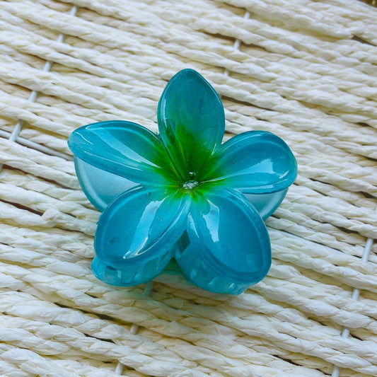 AQUA HAIR CLAW CLIPS